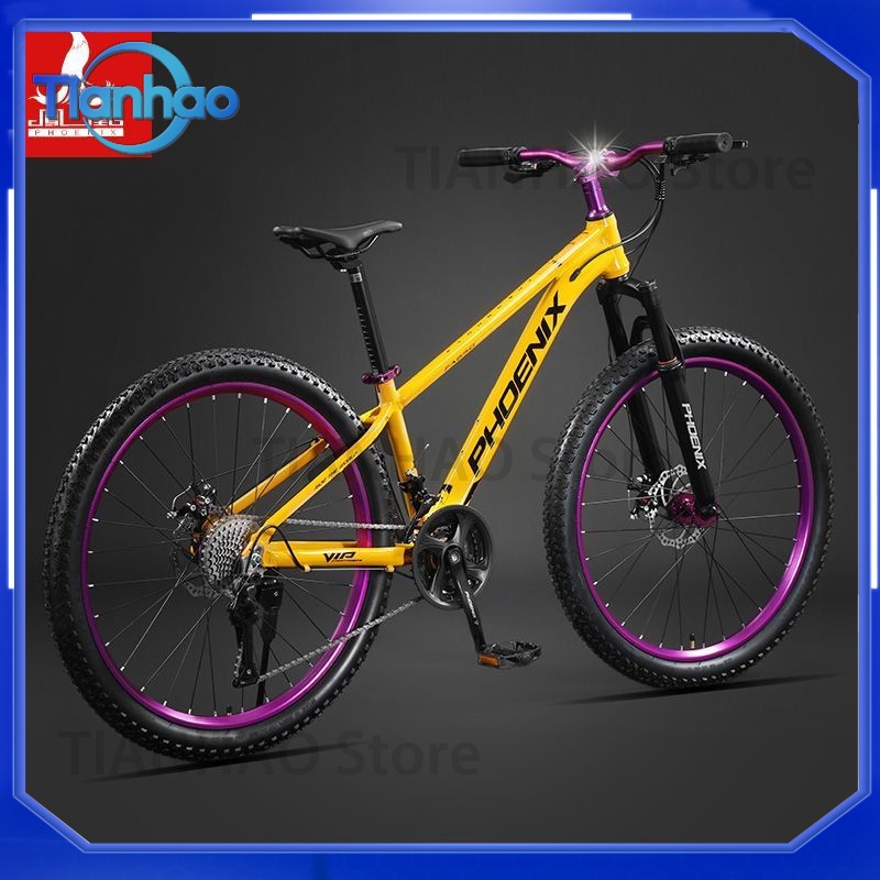 Bicicleta de Montanha em Liga  - Mountain Biking Phoenix avaliação e preço
