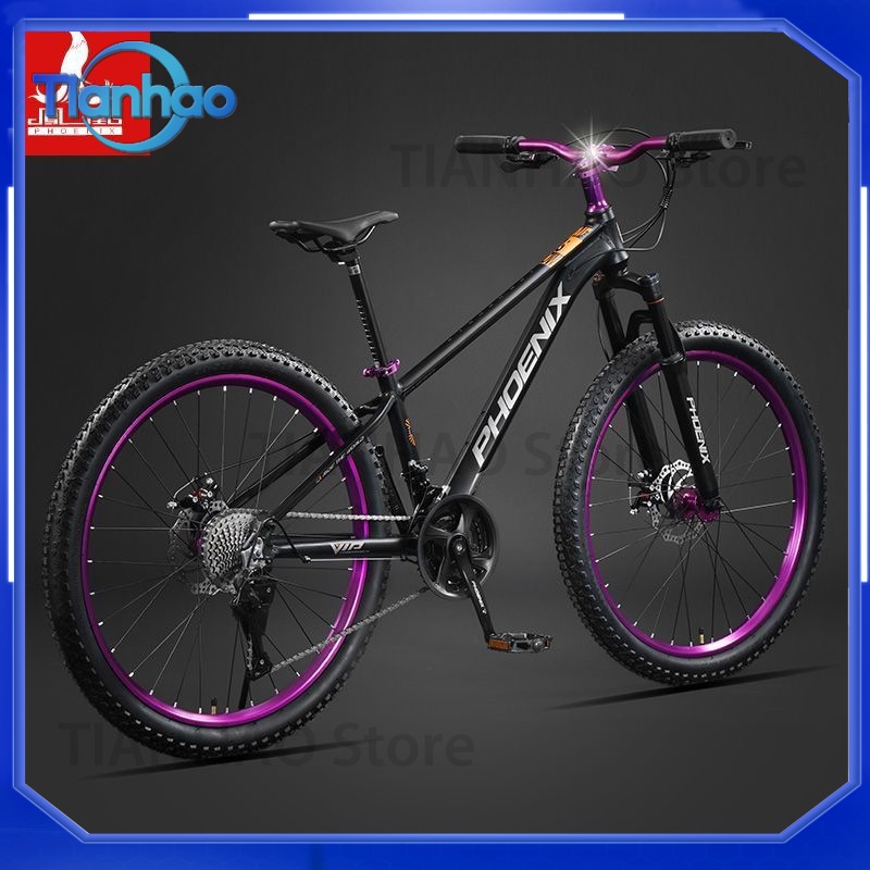 Bicicleta de Montanha em Liga  - Mountain Biking Phoenix avaliação e preço