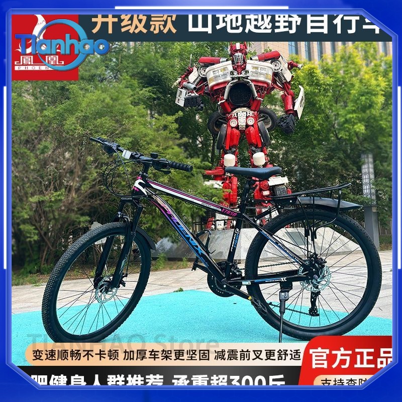 Bicicleta de Montanha Shanghai - Mountain Biking Phoenix avaliação e preço